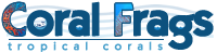 CoralsFrags